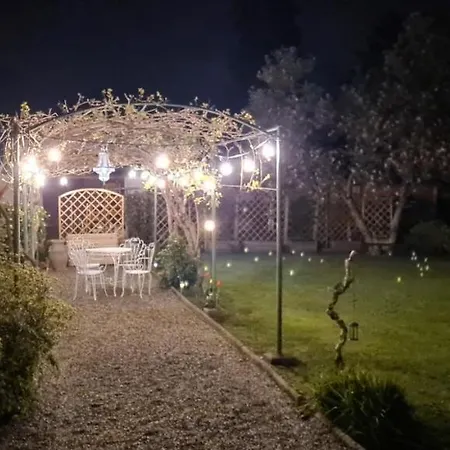 Dragonfly Blu أنغيرا