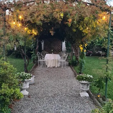 Dragonfly Blu Apartamento