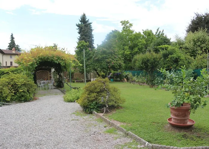 Dragonfly Blu * أنغيرا