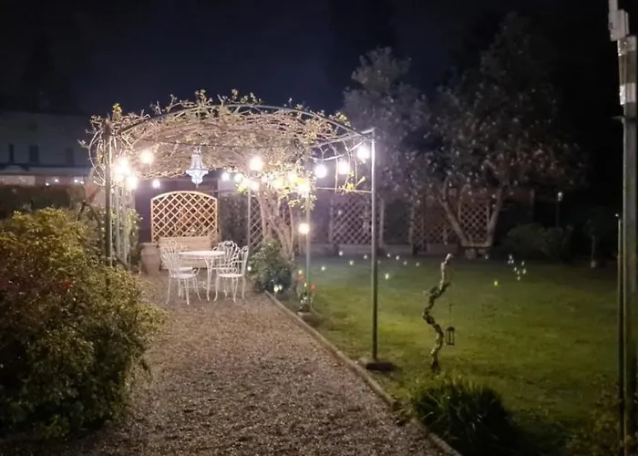 Dragonfly Blu 안게라